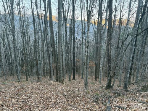 306-and-307-00 Slippery Rock Rd, Waynesville, NC, 28785 | Card Image