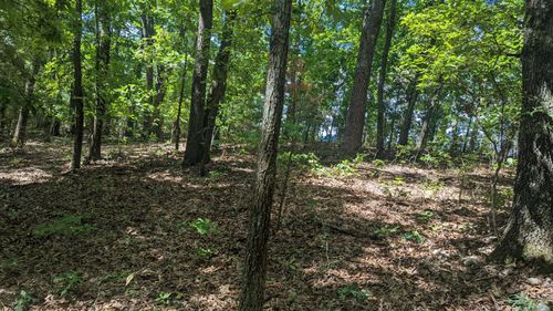 5148 State Highway 173, Cape Fair, MO, 65624 | Card Image