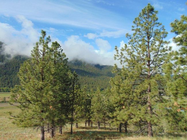 27235 Lazy Springs Rd, Home with 0 bedrooms, 0 bathrooms and null parking in Clinton MT | Image 13