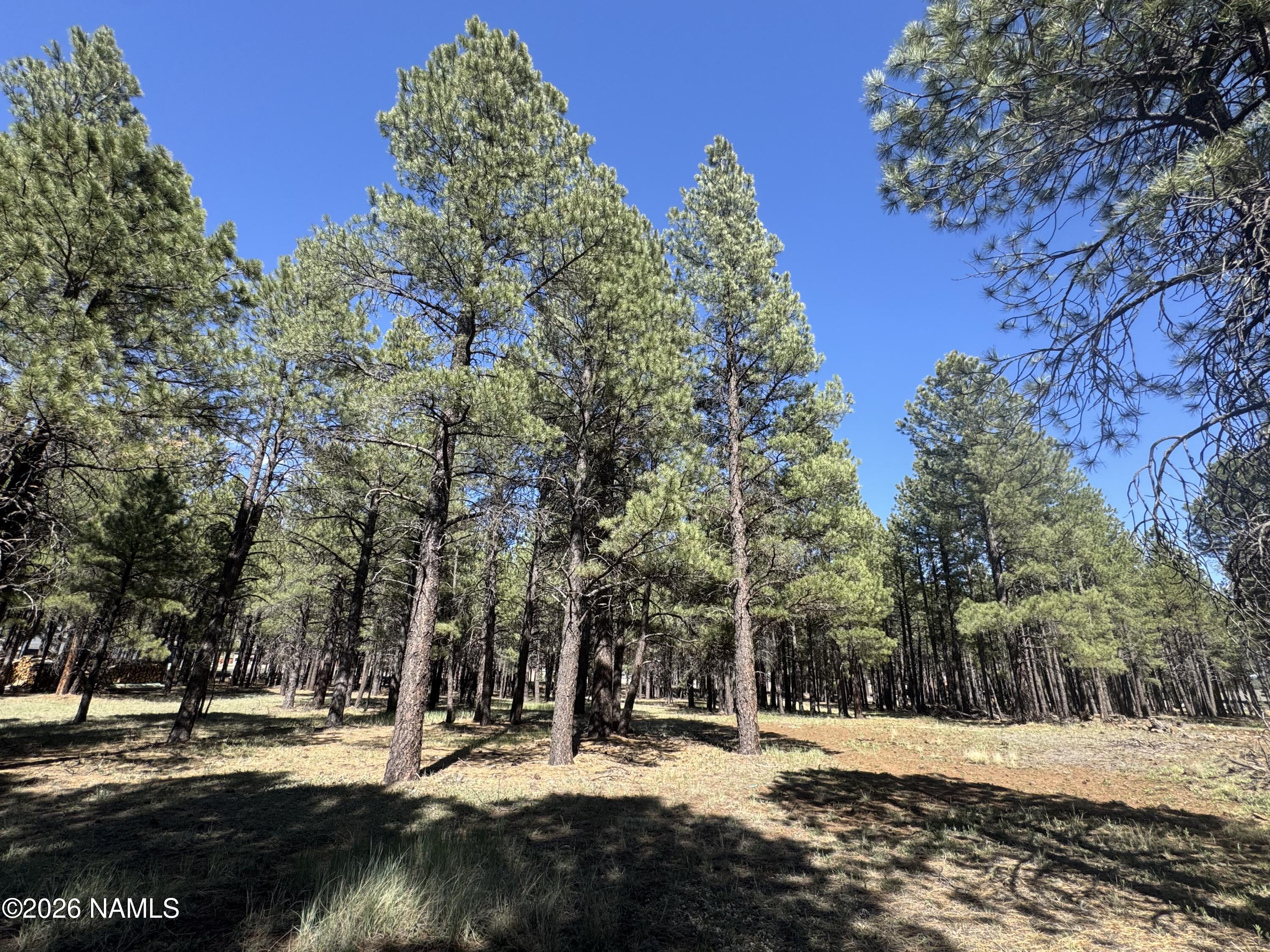 Land in Flagstaff 5