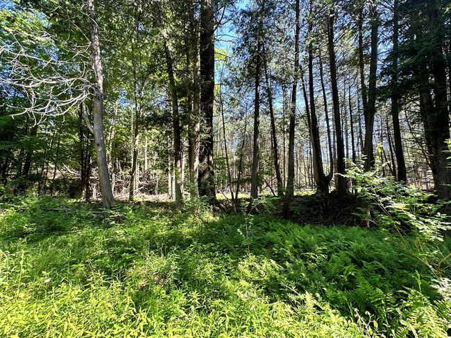 0 Crowningshield Rd, Home with 0 bedrooms, 0 bathrooms and null parking in Wilmington NY | Image 6