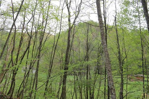 TBD Flatwoods School Rd, Creston, NC, 28615 | Card Image