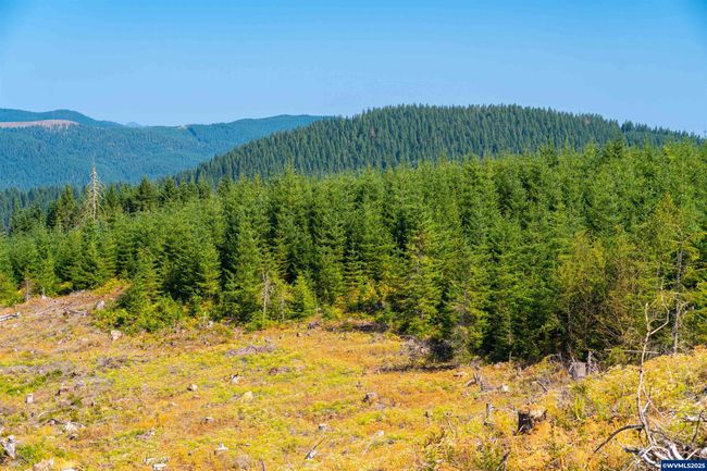 0 Bald Mountain Rd, Home with 0 bedrooms, 0 bathrooms and null parking in Beaver OR | Image 22