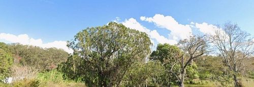 1362 Avalon Rd, Winter Garden, FL, 34787-6007 | Card Image