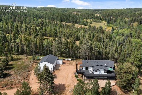 403 Pioneer Creek Dr, Florissant, CO, 80816-7045 | Card Image