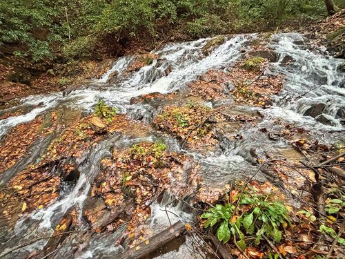 137 Faircloth Dr, Blue Ridge, GA, 30513 | Card Image