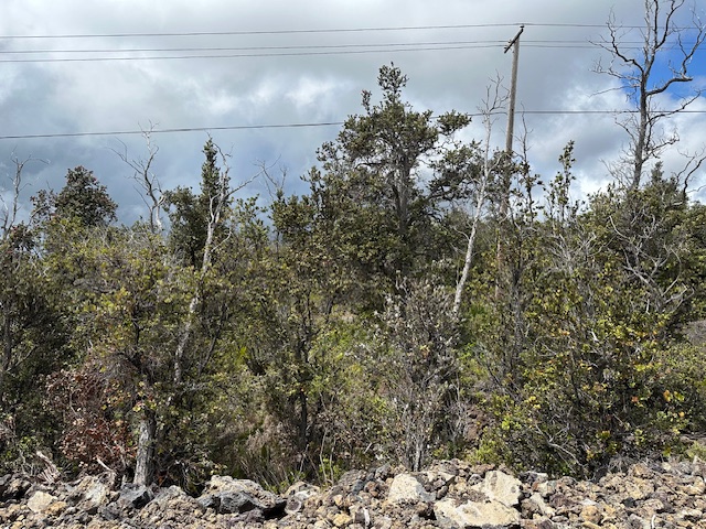 Land in Ocean View 5