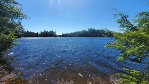 307 Lakeville Shores Road, Lakeville, ME, 04487 | Card Image