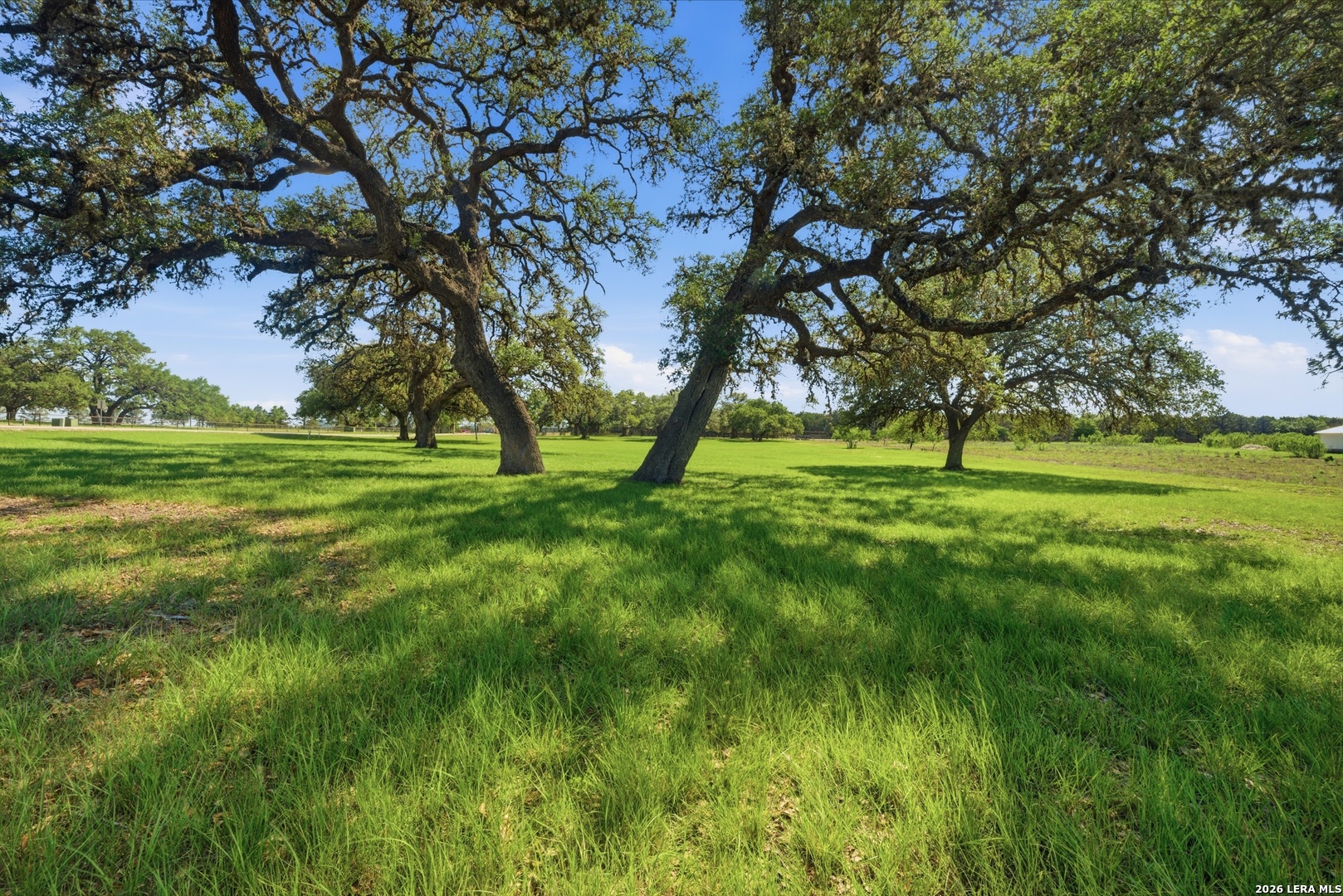 Land in Bandera 2