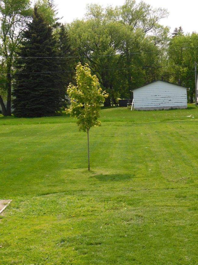 Huge back yard | Image 23