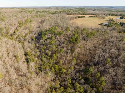 80 acres Price Ford Road, Home with 0 bedrooms, 0 bathrooms and null parking in Heber Springs AR | Image 2