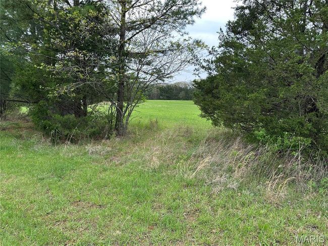 0 Butcher Branch Rd, Home with 0 bedrooms, 0 bathrooms and null parking in Hillsboro MO | Image 10