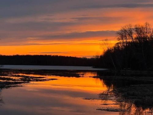 W5333 Hillcrest Road, BRADLEY, WI, 54487 | Card Image