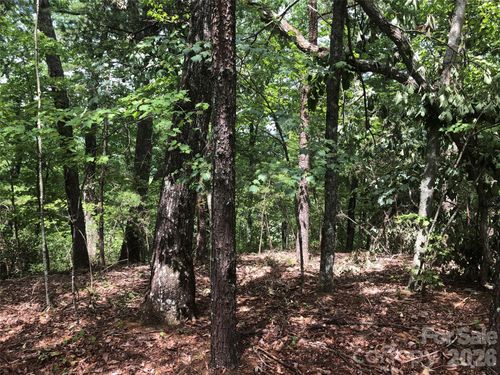 lot-35-0 Buffalo Creek Rd, Lake Lure, NC, 28746 | Card Image