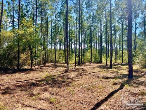 Lot 75 Nature Walk Dr, Jay, FL, 32565 | Card Image