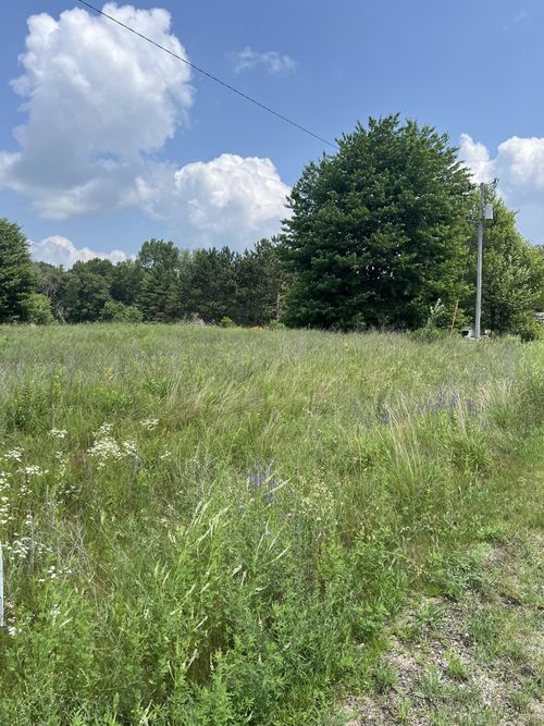 nelson-street-Lots 28 and 29 Roberts Court, AMHERST JUNCTION, WI, 54407 | Card Image