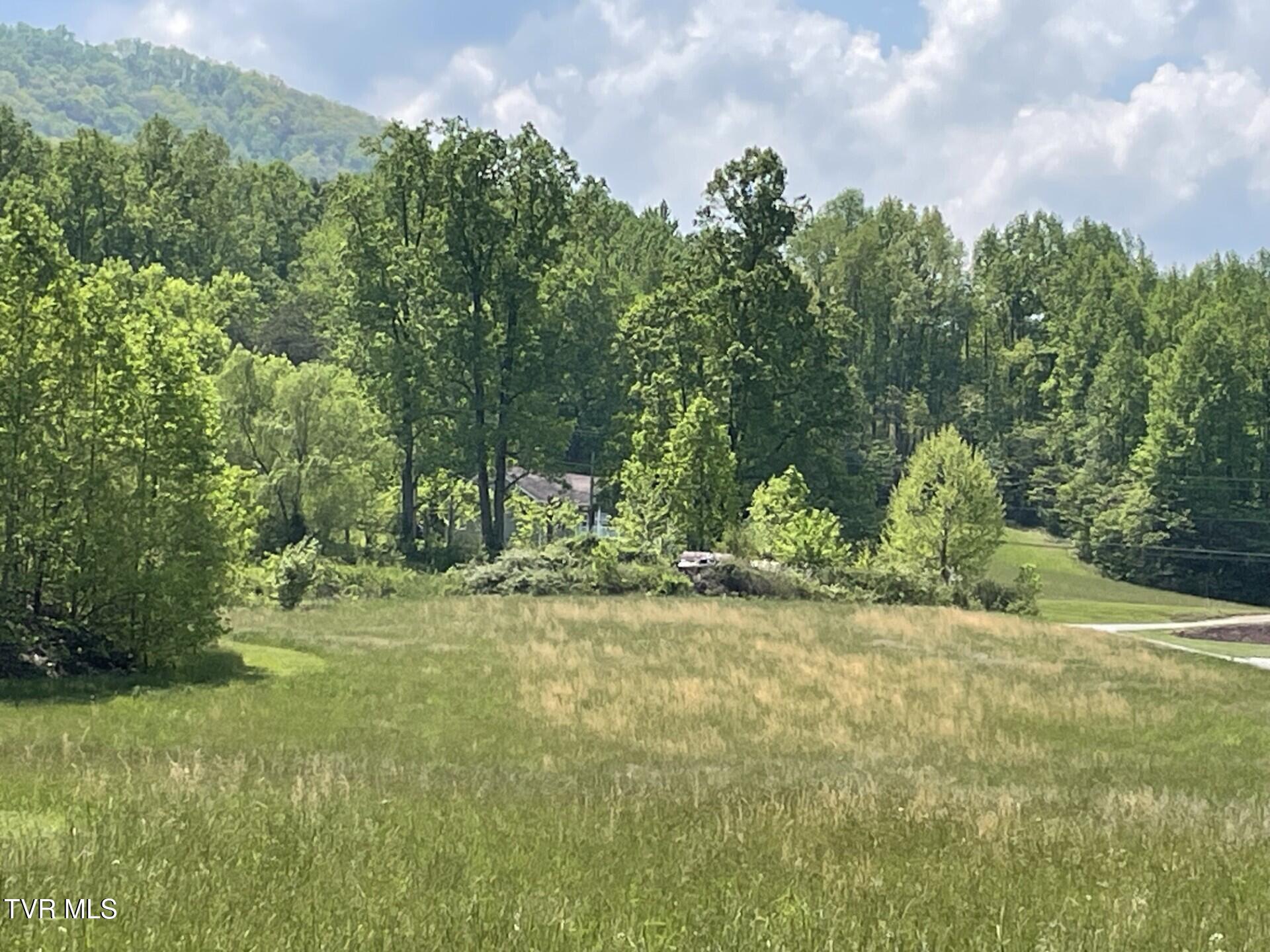 Land in Elizabethton 5