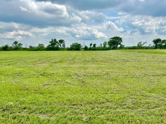 00 Apache Trl, Home with 0 bedrooms, 0 bathrooms and null parking in Angleton TX | Image 7