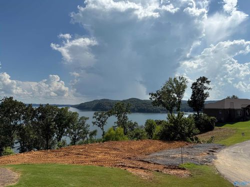 LOT 105 Ryan Dr, Guntersville, AL, 35976-7407 | Card Image