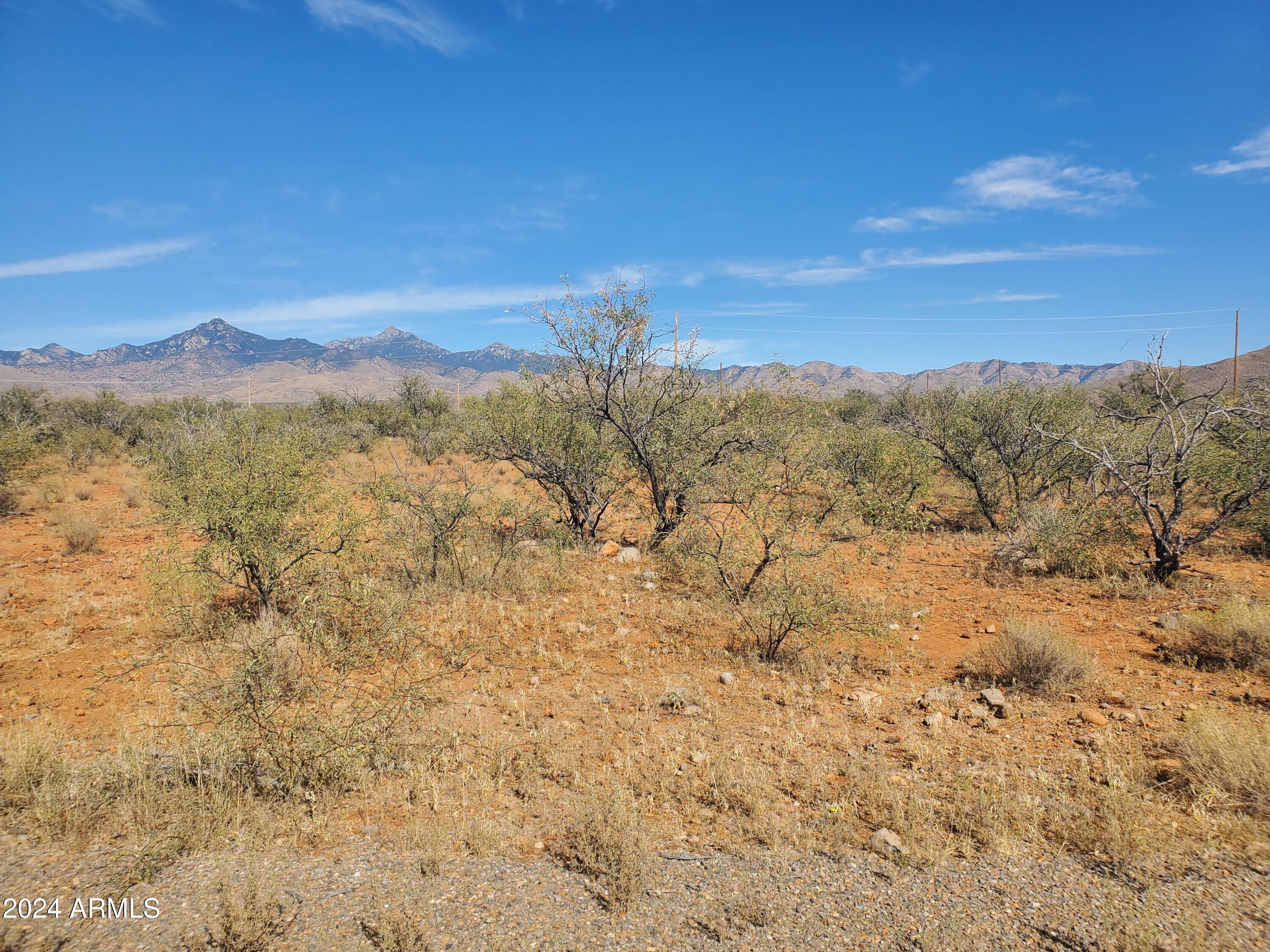 Land in Rio Rico 5