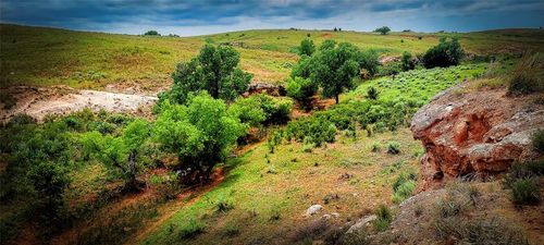 001 N 1920 Rd, Buffalo, OK, 73834 | Card Image