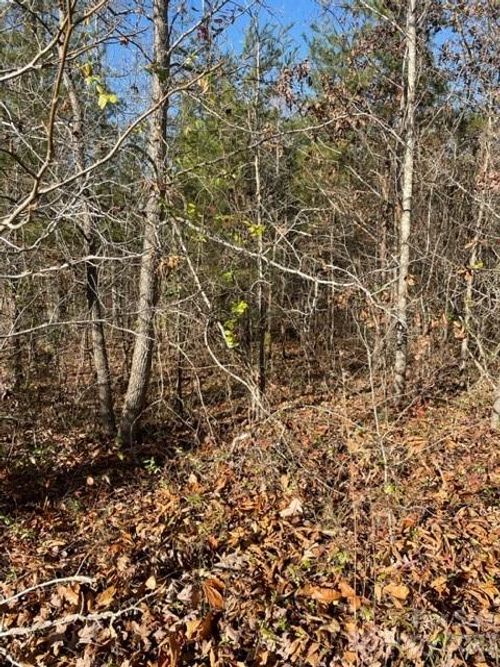 0 Holly Forest Dr, Rutherfordton, NC, 28139 | Card Image