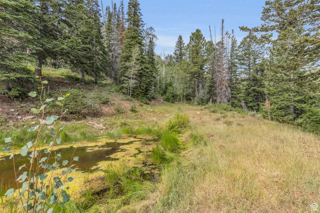 10780 Ford Ridge Rd, Home with 0 bedrooms, 0 bathrooms and null parking in Helper UT | Image 31