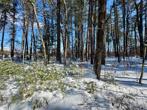 lot-a-TBD Swans Falls Road, Fryeburg, ME, 04037 | Card Image