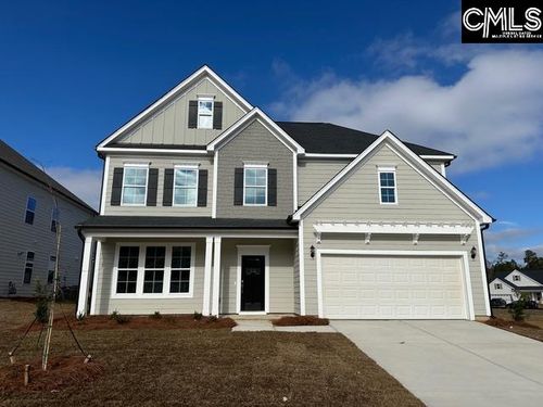 345 Rising Stream Way, Chapin, SC, 29036 | Card Image