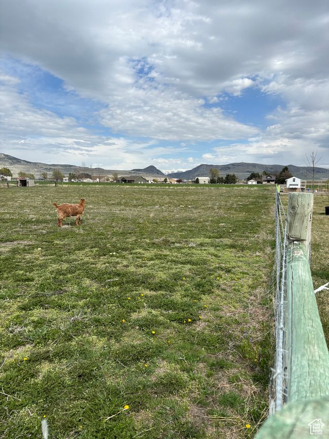 View of yard with a rural view | Image 9