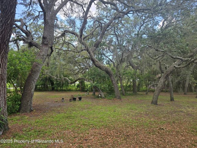 12843 Ithaca Ave, House other with 4 bedrooms, 2 bathrooms and null parking in Hudson FL | Image 21