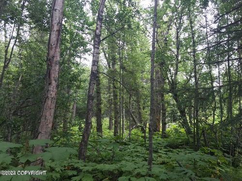 L6 B2 Agate St, Kenai, AK, 99611 | Card Image