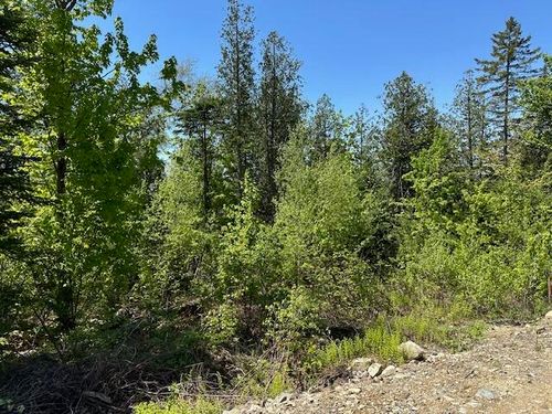 Lot 12 Mt. Jefferson Heights, Lee, ME, 04455 | Card Image