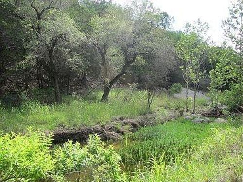 350 Bluff Rd, SPICEWOOD, TX, 78669-9160 | Card Image