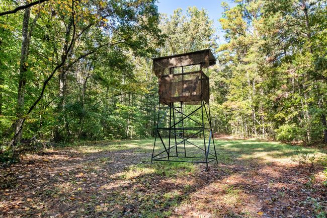 HFL_OSBORNE TRACT-28 | Image 30