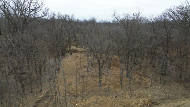 39 Sandy Ln, Home with 0 bedrooms, 0 bathrooms and null parking in Perham MN | Image 10