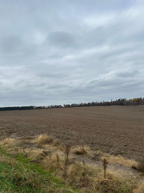 142 Basswood Lake Rd, Ponsford, MN, 56575 | Card Image