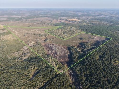 1718 TBD 198 Acres +/-, Westville, FL, 32464 | Card Image
