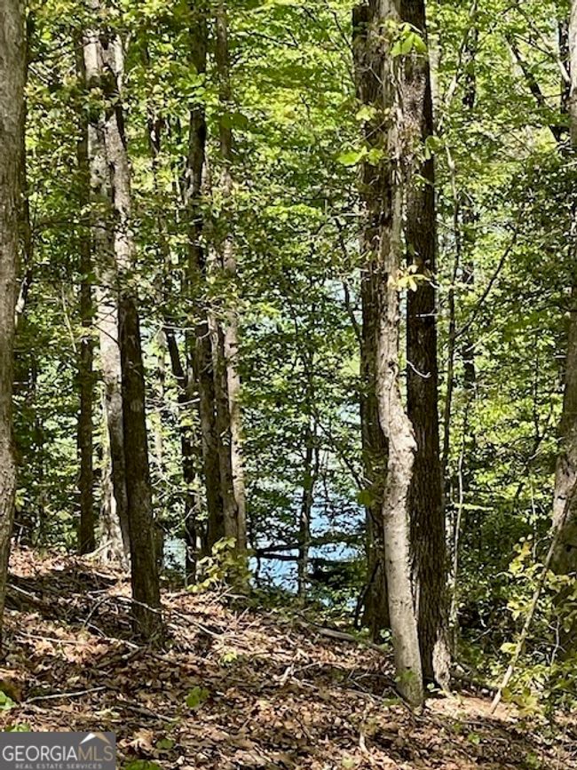 1276 Hornets Bridge Rd, Home with 0 bedrooms, 0 bathrooms and null parking in Elberton GA | Image 20