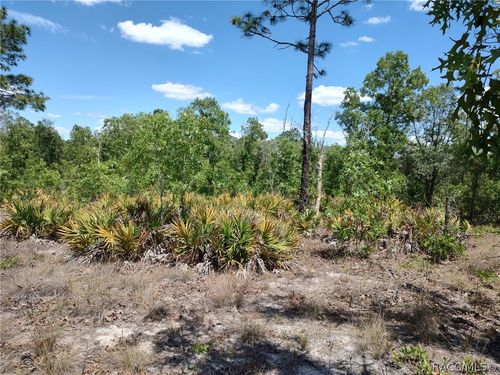 7165 W August Ln, DUNNELLON, FL, 34433-6442 | Card Image