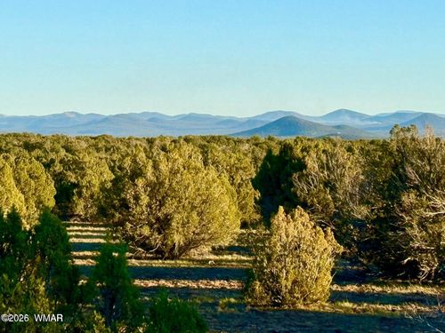 9023 Appaloosa Lot C 10 Acres Trail, Show Low, AZ, 85901 | Card Image