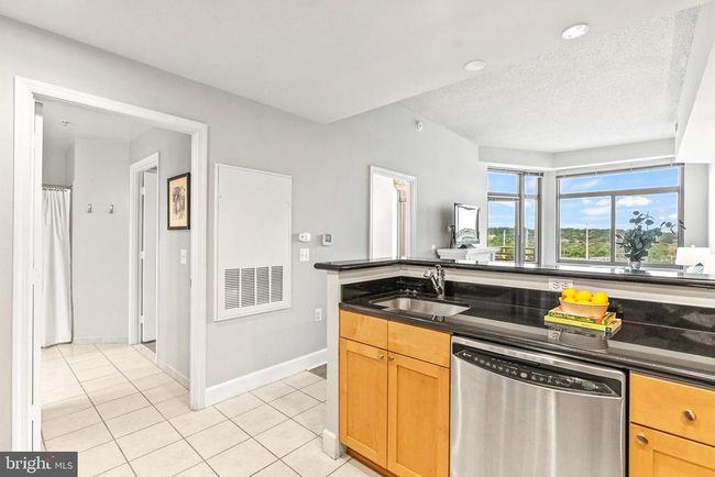 UNIT-605W - 3600 S Glebe Rd, Condo with 1 bedrooms, 1 bathrooms and null parking in ARLINGTON VA | Image 7