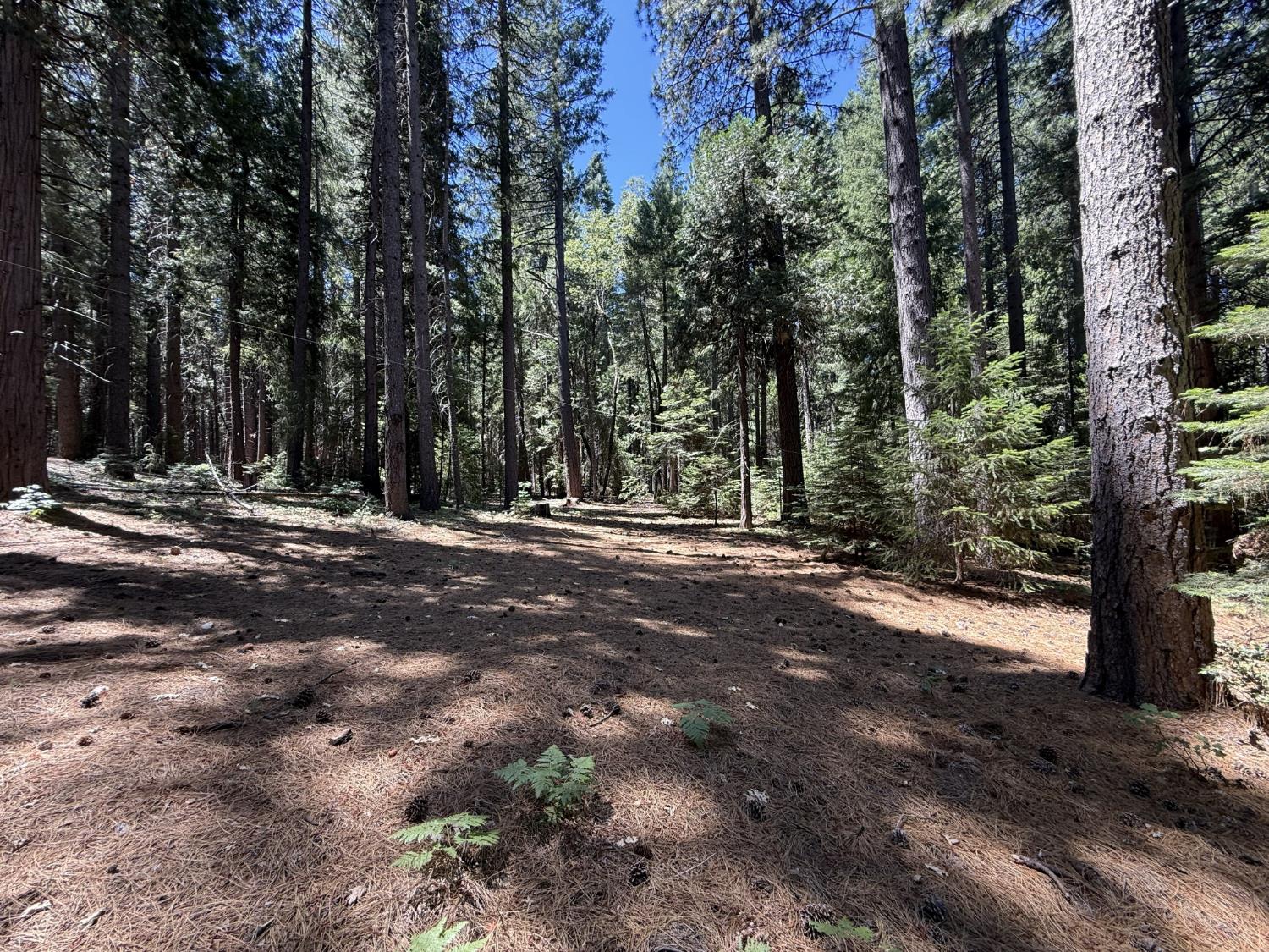 Land in Nevada City 2