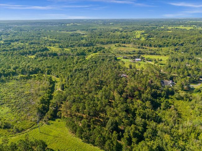 9535 Number Two Rd, Home with 0 bedrooms, 0 bathrooms and null parking in Howey In The Hills FL | Image 14