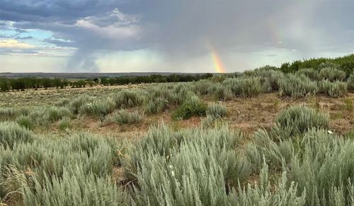 0 Wheeler Ave, Mobeetie, TX, 79061 | Card Image