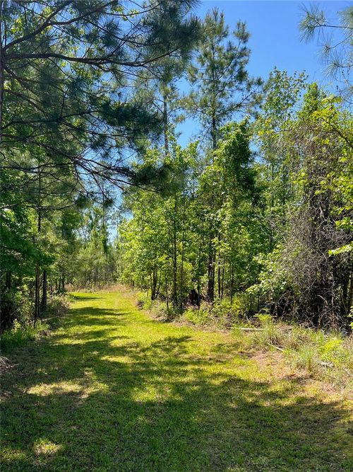 000 Sw 9th Terrace, OTTER CREEK, FL, 32683 | Card Image