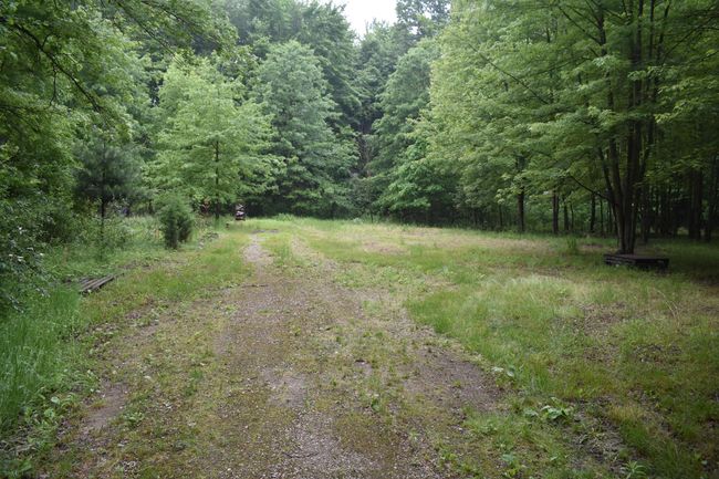 13151 Tuttlehill Rd, Home with 0 bedrooms, 0 bathrooms and null parking in Milan MI | Image 8