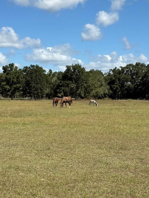 15330 Ne County Road 349, BRANFORD, FL, 32008 | Card Image