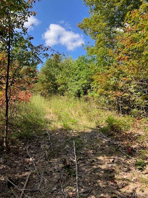 21 Church Road (Cr 114), Annapolis, MO, 63620 | Card Image