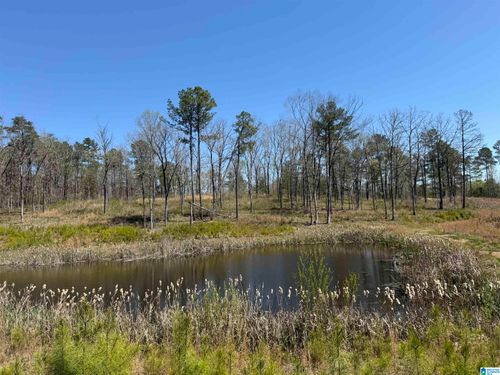 1-0 County Rd, WILSONVILLE, AL, 35186 | Card Image